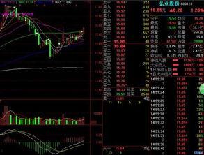 股指期货最新爆料公司,公司爆料揭示市场新趋势