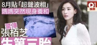 黄璐爆料张柏芝视频播放,引发网友热议