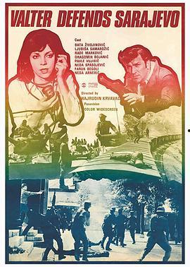 紫日高清在线观看,穿越时空的浪漫传奇  第3张